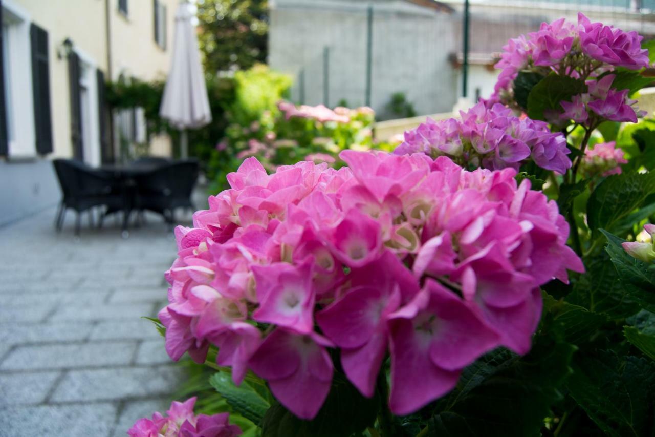 Giardino Delle Ortensie Cannobio Exterior photo